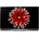 LG OLED65E7