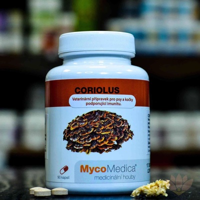 MycoMedica Coriolus Versicolor Outkovka pestrá 4 x 90 kapslí – Zboží Dáma