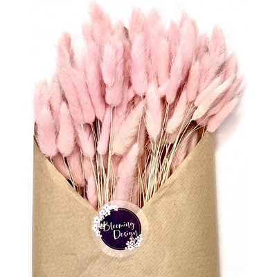 Sušený lagurus (králičí ocásek) baby pink/ světle růžová 45g