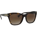 Ralph Lauren RA5310U 500313
