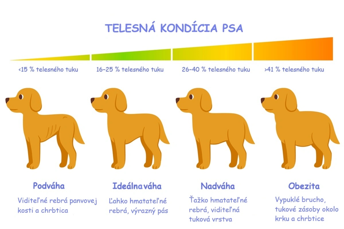  Grafické znázornenie telesnej kondície psa