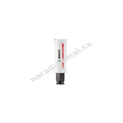 Bosch 2608594169