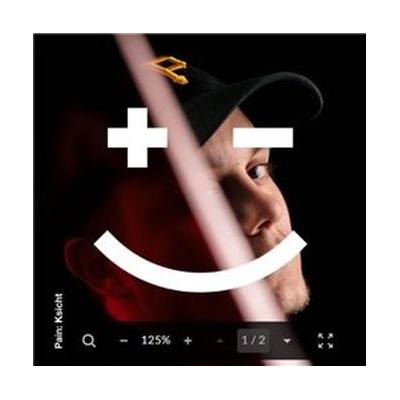 PAIN - KSICHT CD