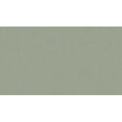 Tarkett Acczent Platinium 100 Ground KAKI 2 m 1 m²