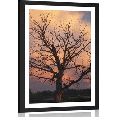 Plakát s paspartou nádherný strom na louce - 40x60 no frame