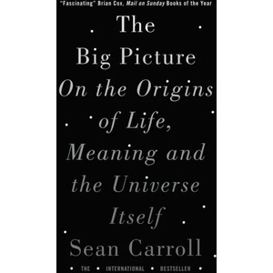 Big Picture | SEAN CARROLL (ISBN: 9781786071033)