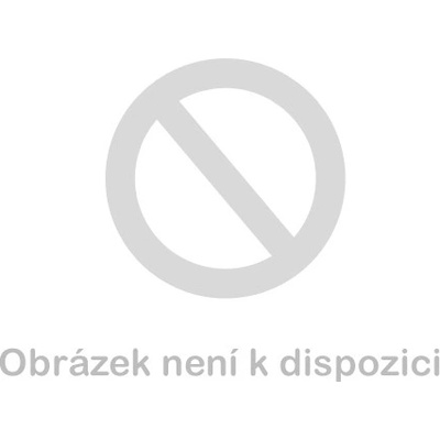 Rennsteig Sekáč plochý/rukojeť,délka300mm,hrot26mm 9R3513001