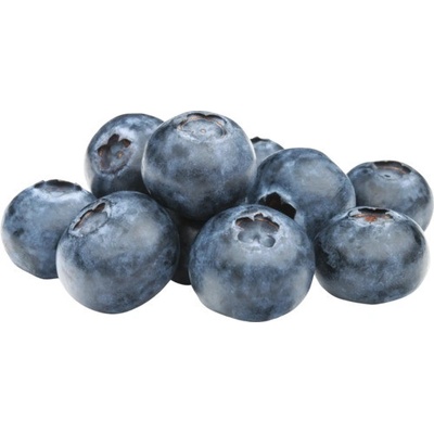 Borůvka BIO 'Bluecrop' FloraSelf Floralie Gardening with kids květináč Ø 13 cm
