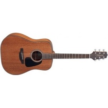 Takamine GD11M-NS