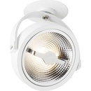 Rendl R12637
