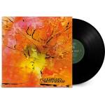 Warner Doldinger's Motherhood: Motherhood - Vinyl (LP) (077521)