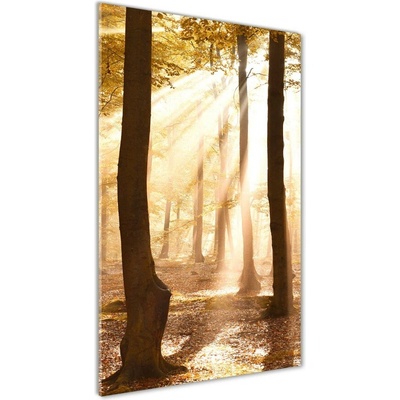Vertikálny foto obraz sklo tvrdené Les na jeseň 50x100 cm