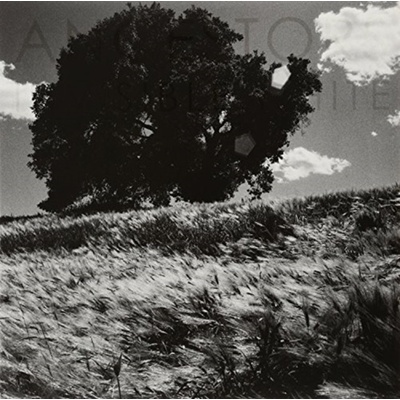 Ancestors - Invisible White - Vinyl Edition LP