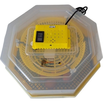 CLEO Инкубатор cleo 5 th