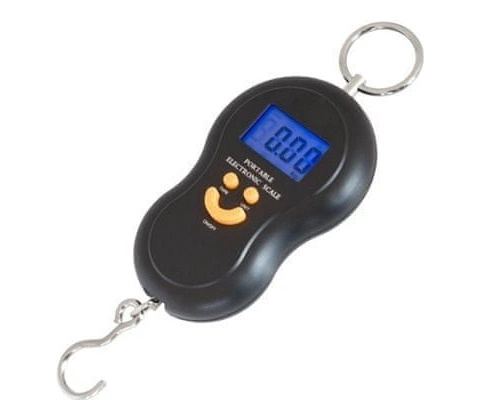 Portable AG199