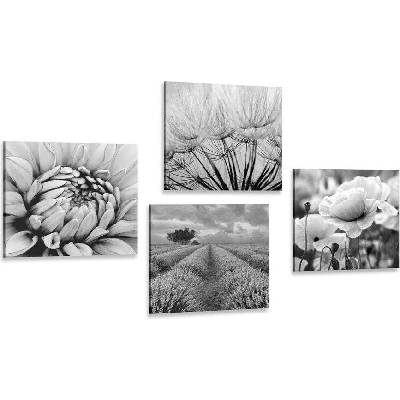 Set obrazů černobílá elegance - 4x 60x60