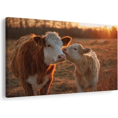 Obraz západ slunce na pastvině - 60x40
