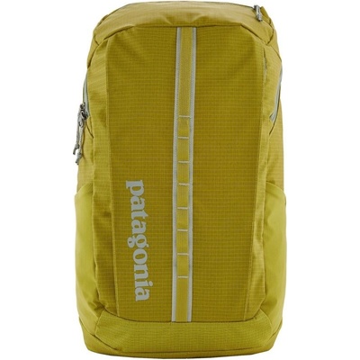 Patagonia Black Hole Pack 25 l zelená