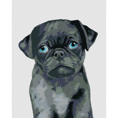 zuty Malování Podle Čísel Mopsík Myroslava Voloschuk 40 x 50 Cm Plátno Rám
