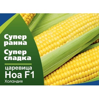 Флориан Супер сладка Царевица Ноа f1 - много ранна