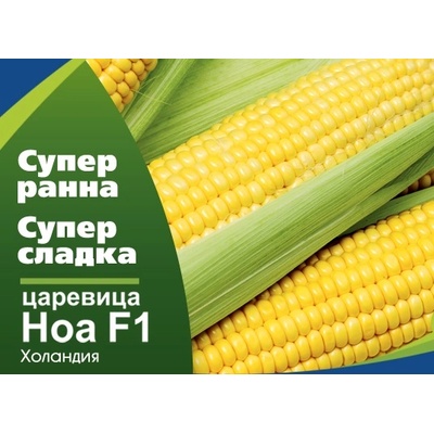 Флориан Супер сладка Царевица Ноа f1 - много ранна