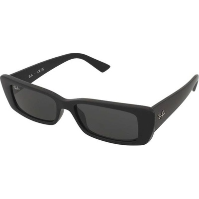 Ray-Ban Teru RB4425 667787