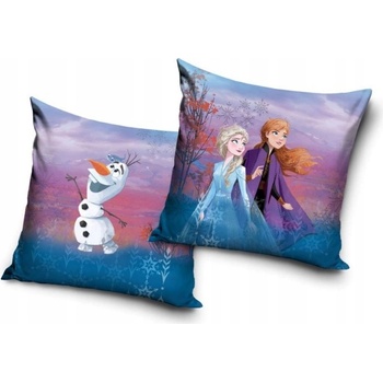 Carbotex vankúš Ľadové kráľovstvo Frozen II. 40x40