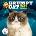 Grumpy Cat Wall 2026