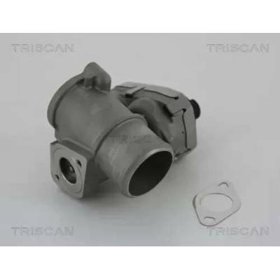 TRISCAN AGR ventil TRI 8813 16101