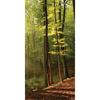 Dimex S-117 vliesová fototapeta na zeď Forest rozměry 110 x 220 cm