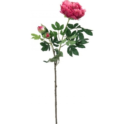 Větvička pivoňky, tmavě červená, 100cm