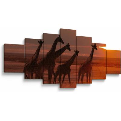 Obraz - Žirafy v africkej savane, sedemdielne 210x100 cm