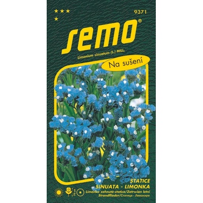 Limonka Statice sinuata Blue Sky Blue modrá 0,5 g