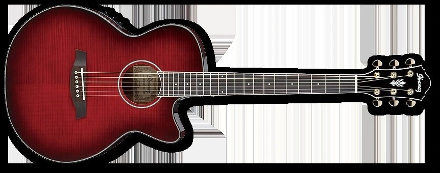 Ibanez AEG24II TOS（Ibanez AEG Acoustic Guitar Transparent
