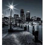 DIMEX ART Флизелинов фототапет бостън 225 x 250 см
