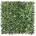 Bizzotto ДЕКОР. ЗЕЛЕНА СТЕНА ivy-fern mix 100x100 (0790461)