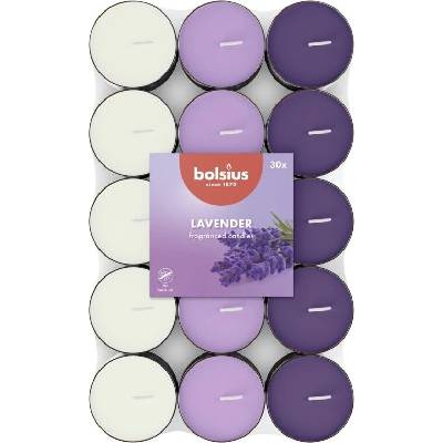 Bolsius Lavender 30 ks