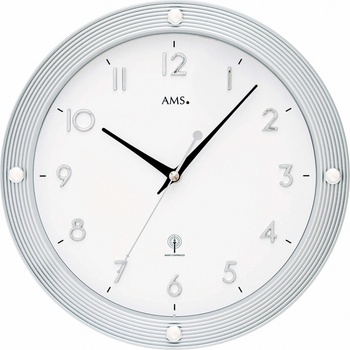 AMS 5300