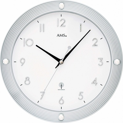 AMS 5300