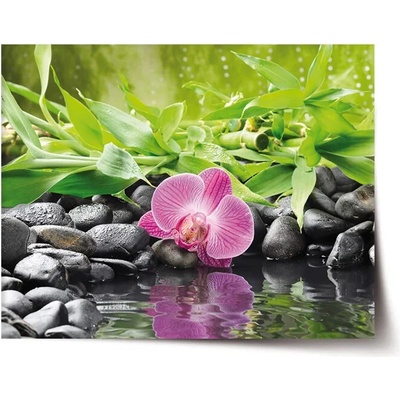 Sablio Plagát Ružová orchidea - 60x40 cm