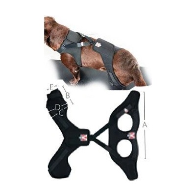 Krusse Bandáž Rehab Pro na koleno pro psa M pravá