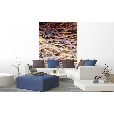 DIMEX ART Флизелинов фототапет абстрактно сено i 150 x 250 см