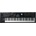 Roland VR-09