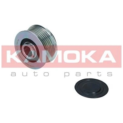 KAM-RC047