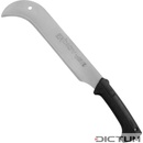 Dictum 710828