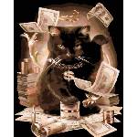 Zuty Диамантено рисуване Черна котка (D00-040-050-100323)