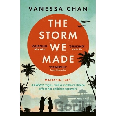 The Storm We Made - Vanessa Chan