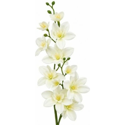 Umelá orchidea krémová 50 cm