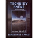 Techniky snění - Arnold Mindell