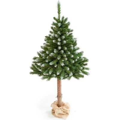 Konrad Limpol Smrek na kmeni 2,10 m